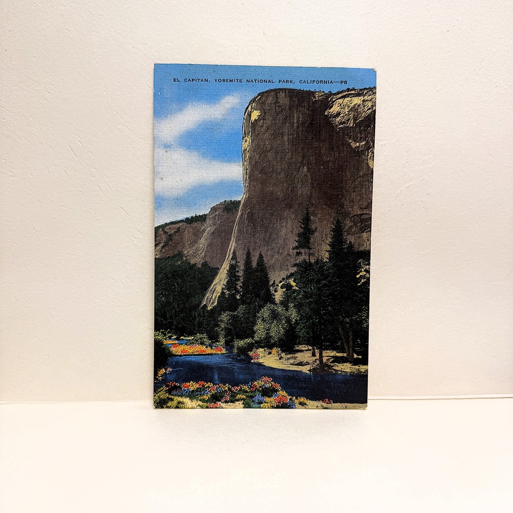 Genuine Vintage 1930s Yosemite Memorabilia Postcard
